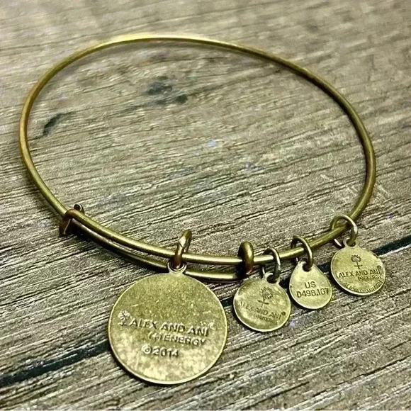 Alex and Ani (+) Energy 2014 Fleur De Lis Charm Bangle Bracelet - Picture 2 of 3